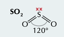 <p>2 bonding pairs with double bonds cancel out effect of 1 lone pair, bond angle of 120˚</p>