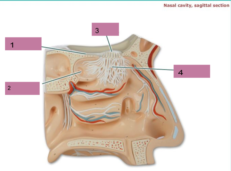 <p>What is number 3</p>