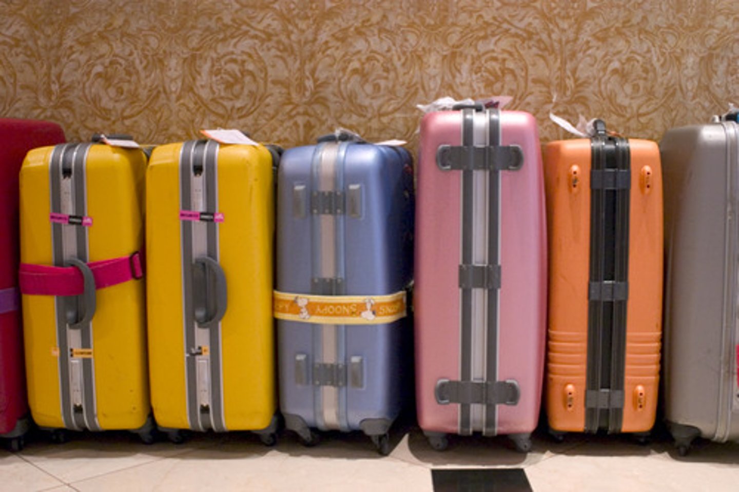 <p>luggage, baggage</p>