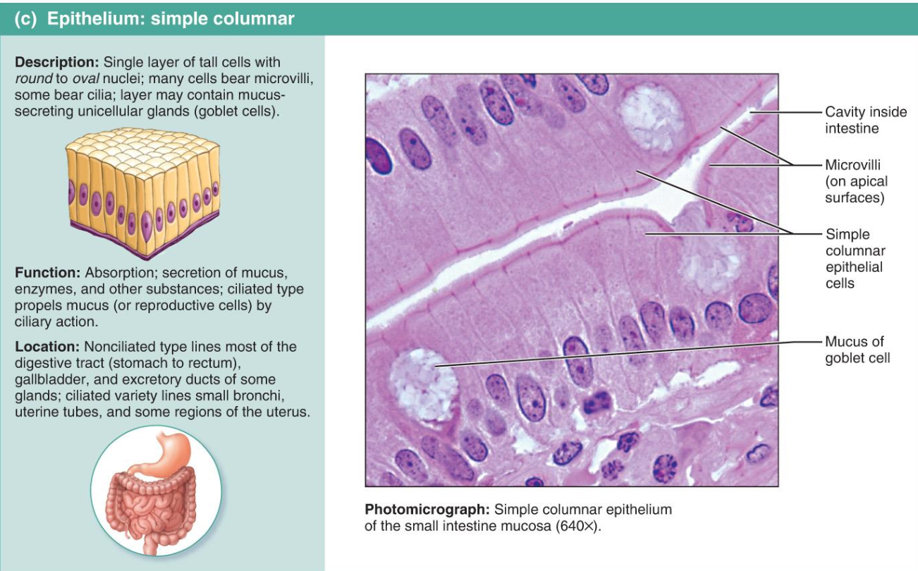 <p>Simple Columnar</p>