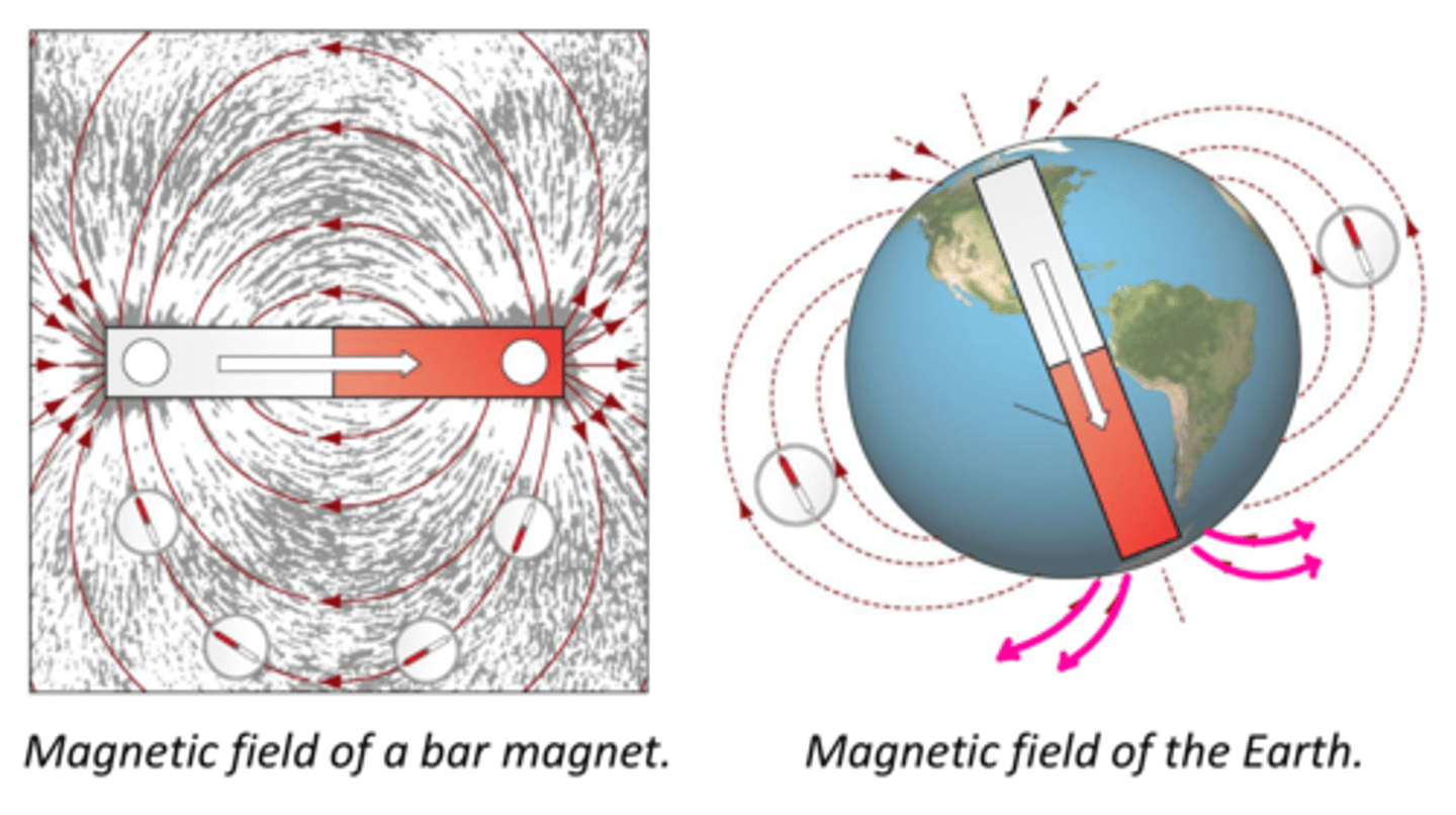<p>extend from near the geographic South Pole to near the geographic North Pole</p>