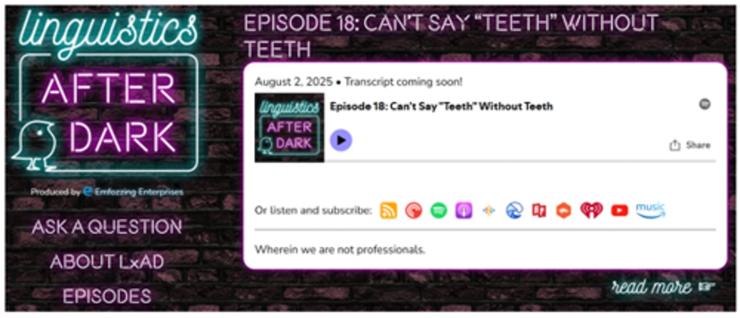 <p>Language (Speech)</p><p>Music (Sound)</p><p>Noise (Sound)</p><p>Typical text types include radio commercials, traffic information and podcasts</p>