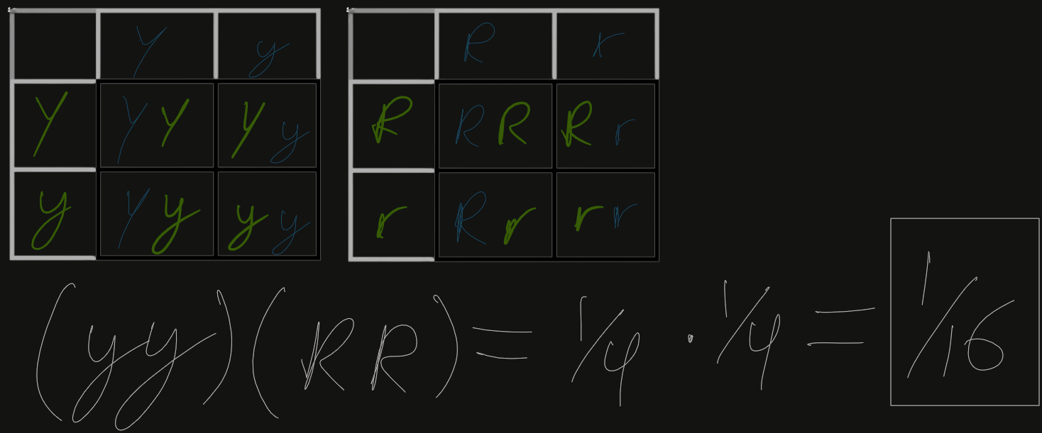 <p>*Equation for basic understanding of calculating percentage in Dihybrid Models</p>