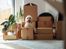 <p>She moves</p><p><em>She is moving into a new house</em></p>