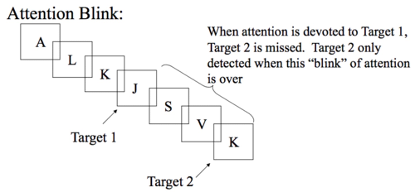 <p>failing to notice changes in the environment; a form of inattentional blindness</p>