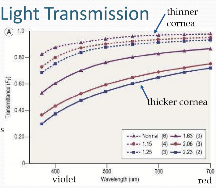 <p>Smaller wavelengths scatter more light than larger wavelengths; so violet scatters more and transmits less than red. </p>