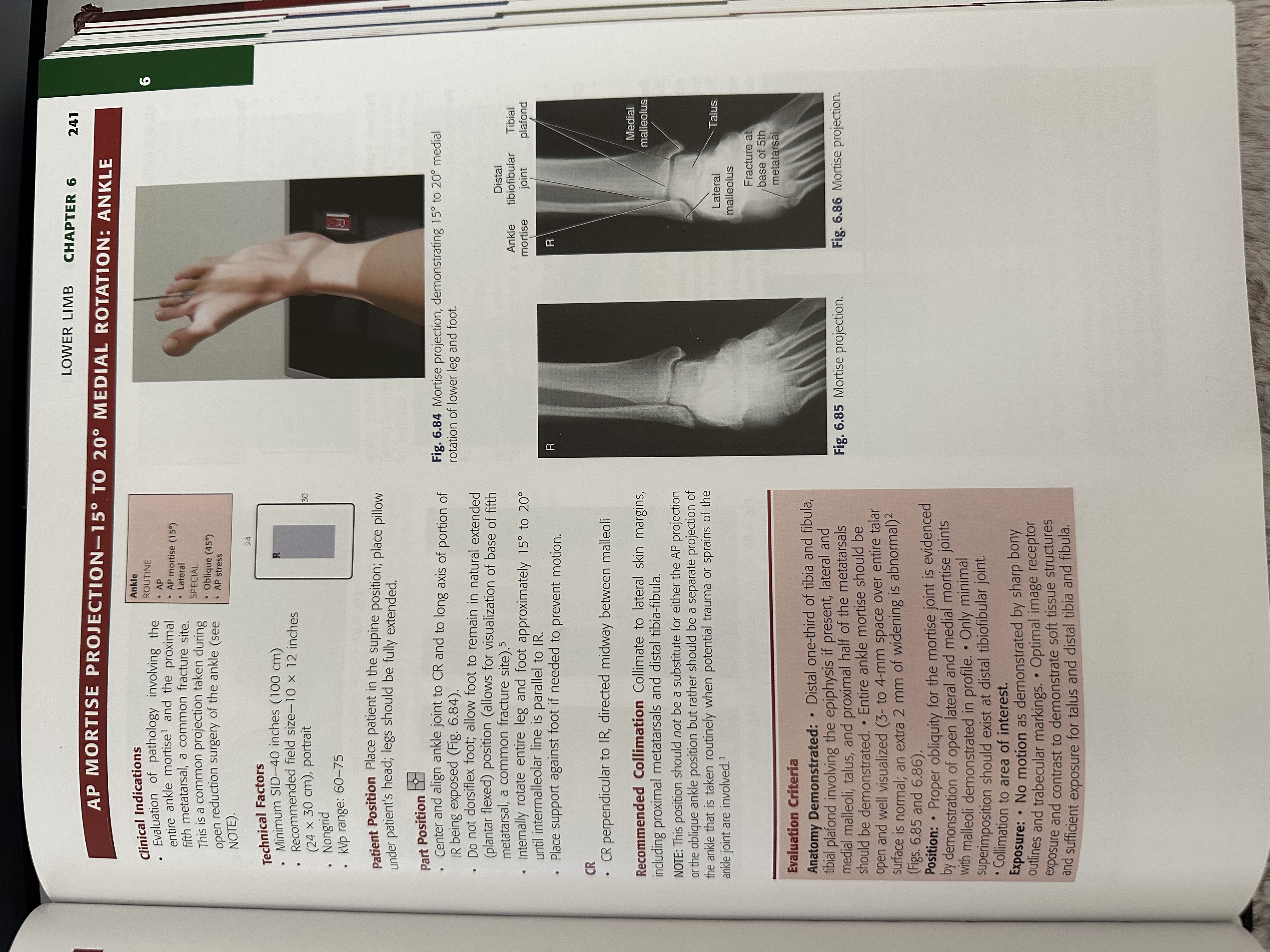 knowt flashcard image