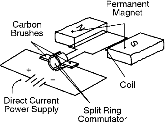 <p>DC MOTOR: Split ring communicator<br>><span style="font-family: "Times New Roman"; line-height: normal; font-size: 7pt;">&nbsp; </span>R__ c__ direction every __ turn to keep coil r__ in the same direction<br><span>></span><span style="font-family: "Times New Roman"; line-height: normal; font-size: 7pt;">&nbsp; </span>No split ring c. = coil flips f__ &amp; backwards</p>