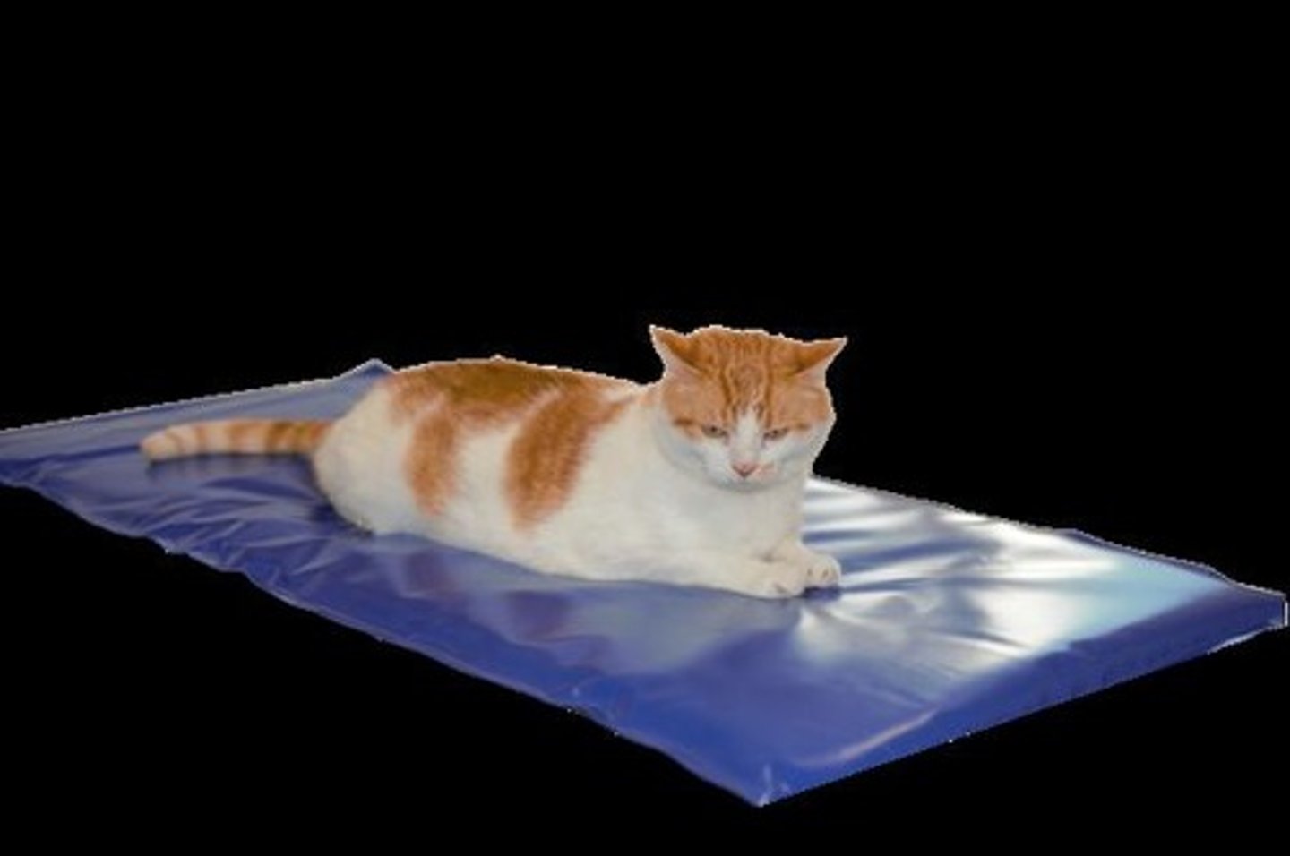 <p>Carbon tech heating mat, Bair Hugger, water blanket, or heated table; could also use paw socks, warm water bottle/bean bag, etc.</p>