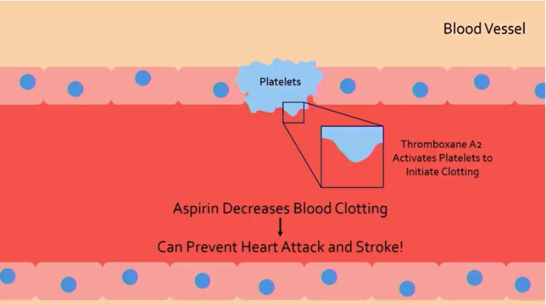 <ul><li><p>aspirin blocks formation of some prostaglandins, including thromboxane A2</p></li><li><p>this prevents activation of platelets for clotting initiation</p></li><li><p>clotting prevention can protect against diseases caused by clots, like heart attack and stroke</p></li></ul><p></p>