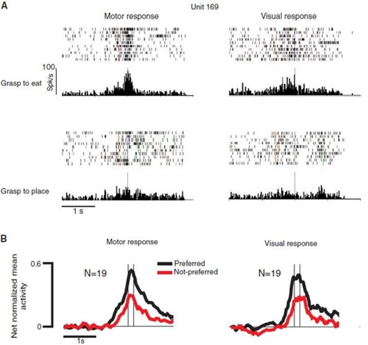 <p>They suggested that neurons in the parietal cortex encode actions in context-dependent ways, providing insight into understanding intentions.</p>
