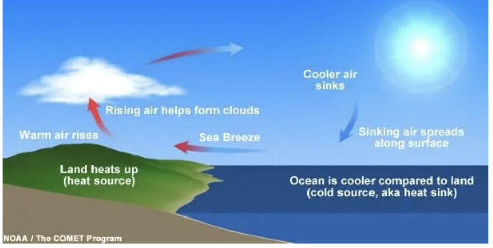 <p>Water and air obtain different specific heat temperatures - during the day the air is warmer than water. This causes the air over the land to expand and rise. At the same time, the heavier/cooler air that rested above the hot air sinks back down (rapidly) and creates breezes </p>