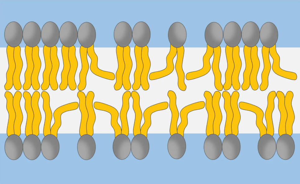 <p>What is this digrame showing</p>