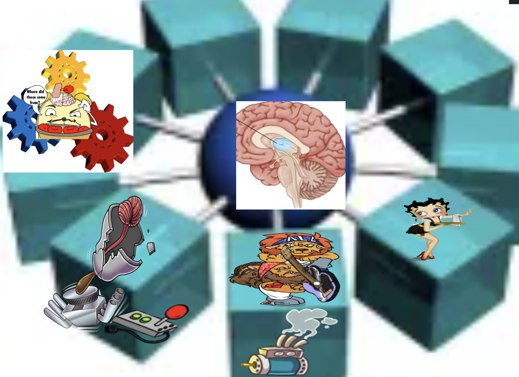 <p>integrating station for sensory information in cerebral cortex, </p><p>Receives info from: </p><p>basal ganglia for motor function, </p><p>cerebellum for motor control, </p><p>control of arousal and certain aspects of memory function etc.</p><p></p>
