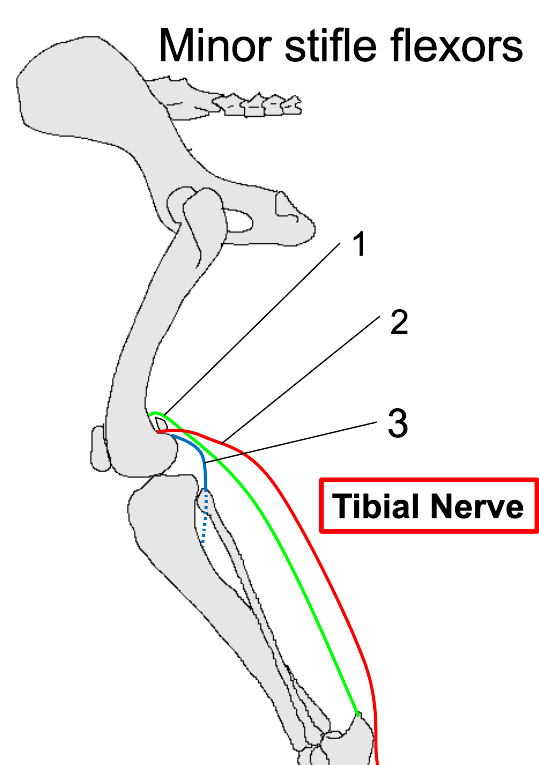 <p>2</p>