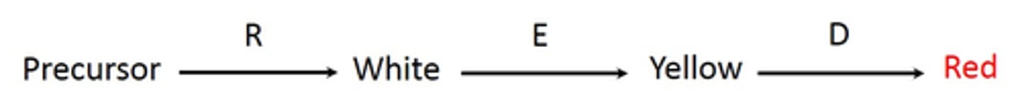 <p>1/8</p><p>3/16</p><p>3 multiple choice options</p>