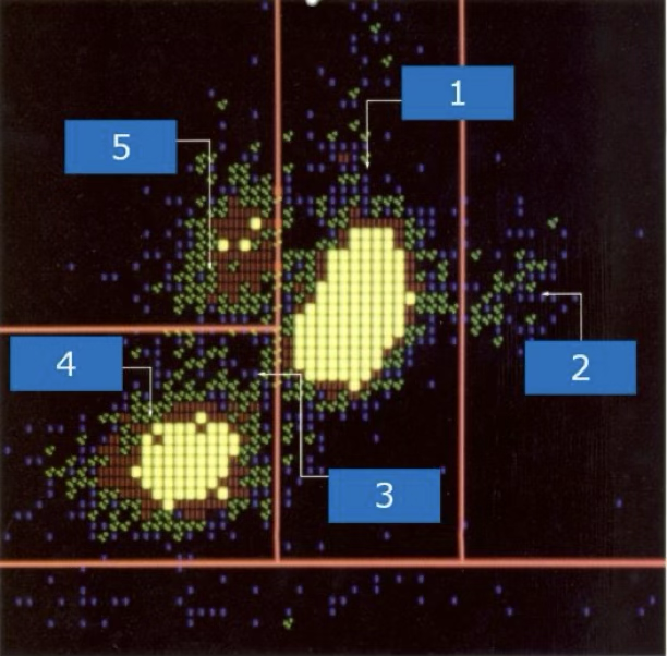 <p>what cell type is at #2?</p>
