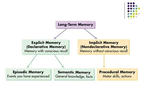 <p>everything starts as episodic → things that are repeated become semantic </p>