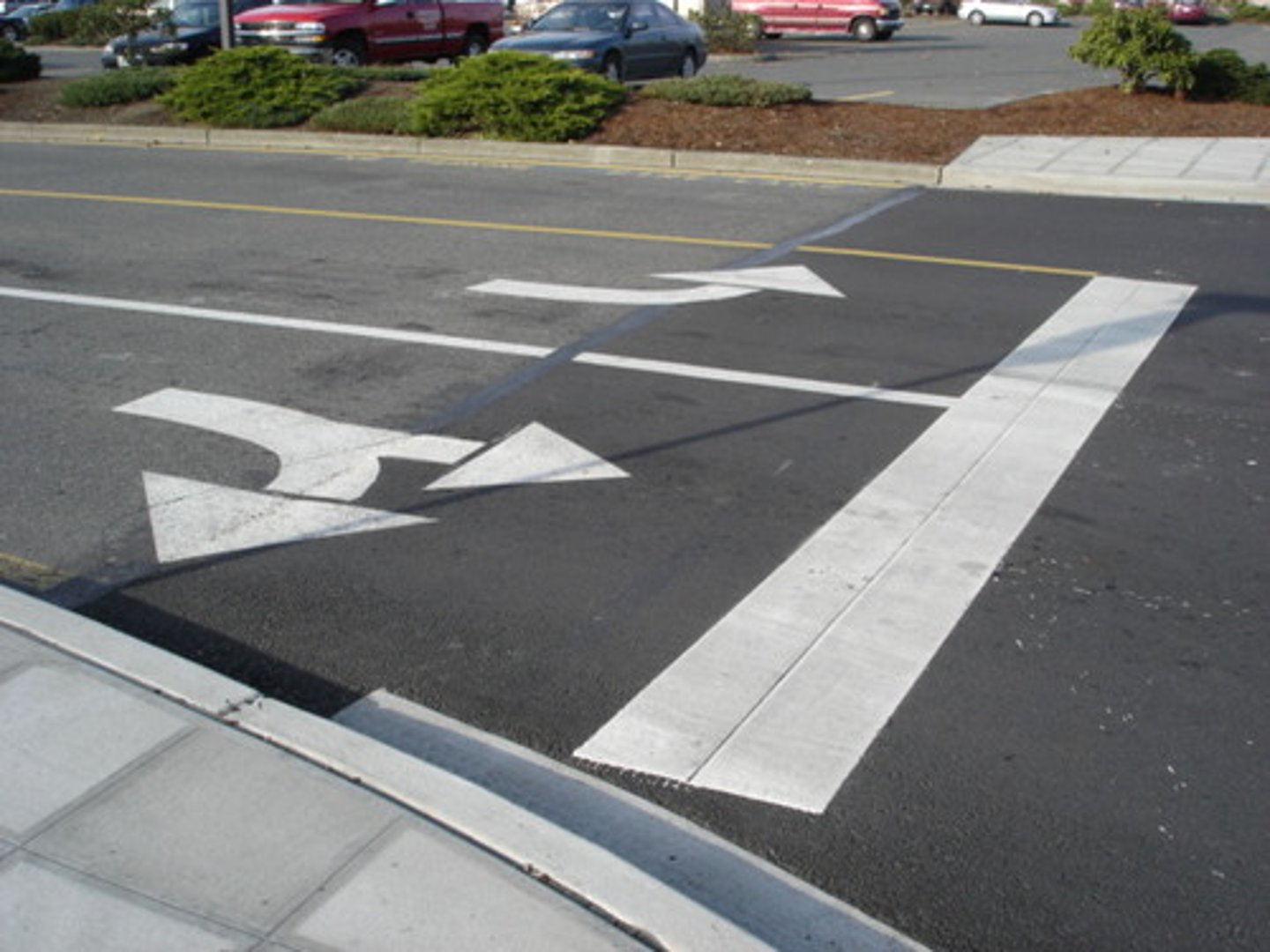 <p>In this image, a car in the left lane must turn left. In the right lane, a car may ____ _____ or ___ _______.</p>