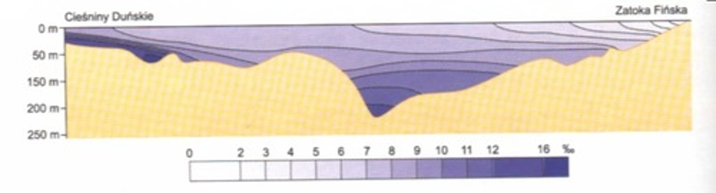<p>linie łączące punkty o jednakowym zasoleniu</p>