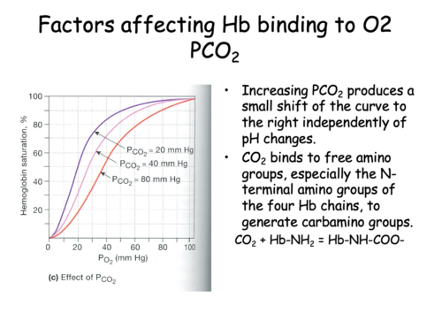 <p>CO2</p>