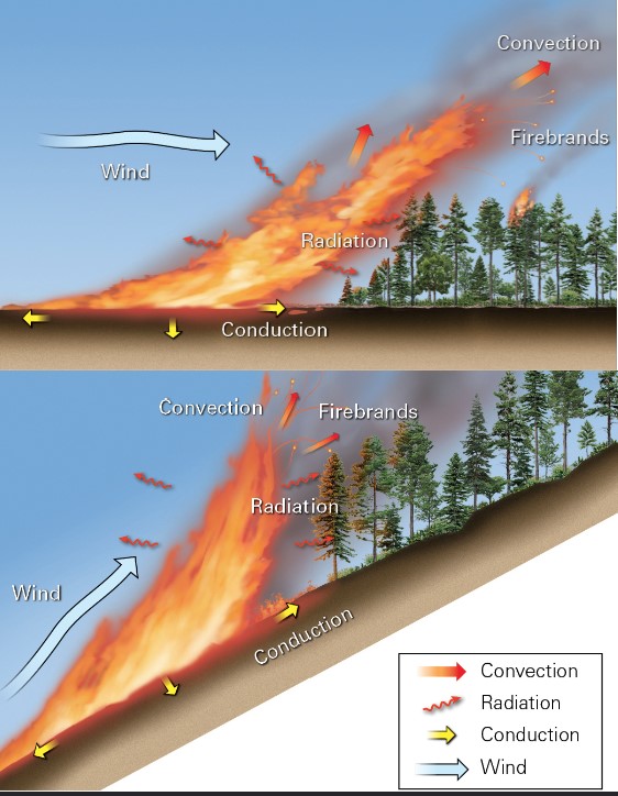 <ul><li><p>convection</p></li><li><p>allows for fires migrate faster up slopes than down slopes</p></li></ul>