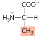 <p>Ala, A, nonpolar </p>