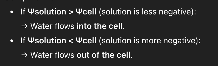 <ul><li><p>The physical pressure on a solution</p><ul><li><p>If the cell is an animal cell (no cell wall) and in an open container, <span>ψp = 0</span></p></li><li><p><span>Higher pressure potential from pressure against cell wall = higher pressure potential</span></p></li></ul></li></ul><p></p>