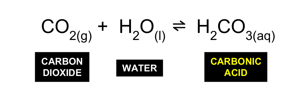 <p>CO<sub>2</sub> reacts with water to form carbonic acid</p>