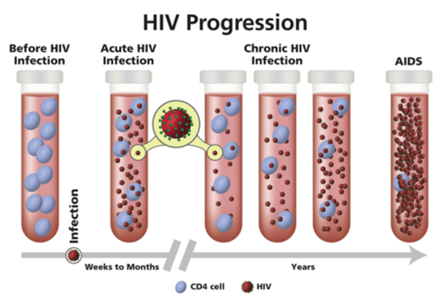 <p>change in serologic tests from negative to positive due to development of antibodies post-exposure</p>