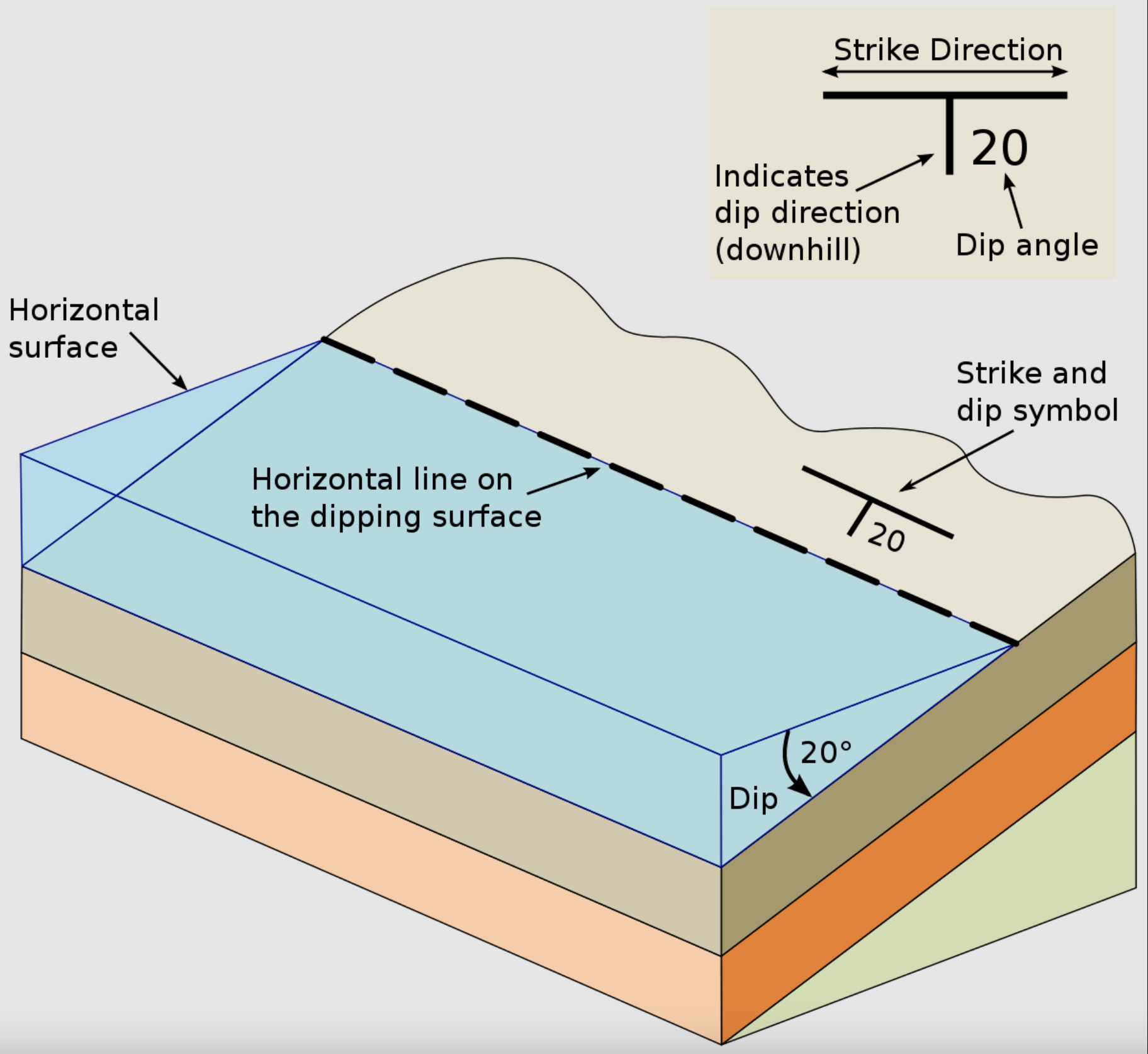 <p><strong>dips</strong> = angle at which a plane of interest is inclined to the horizontal plane</p><p><strong>strikes</strong> = direction of the line formed by the intersection of a fault, bed, or joint (plane of interest) and a horizontal plane (such as water)</p>