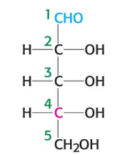 <p>What is the name of the sugar depicted in the image?</p>