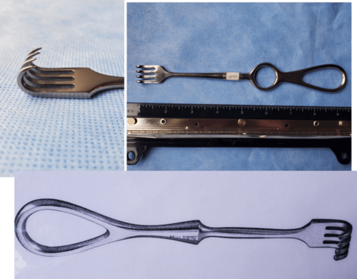 <p>Separating incised tissue or retracting Tendons, muscles to expose deeper structure</p>