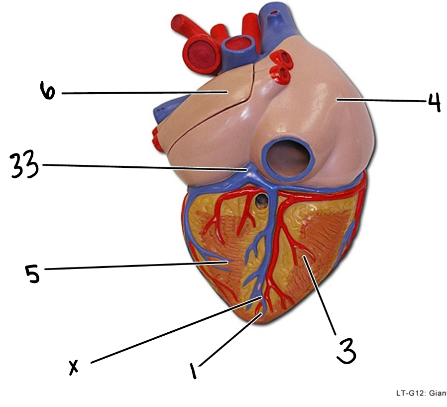 <p>3</p>