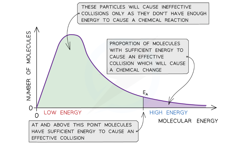 <ul><li><p><span>few particles will have very low energy, a few particles will have very high energy, but most particles will have energy in between</span></p></li><li><p>shows that only a small proportion of molecules in the sample have enough energy for an<span>&nbsp;</span><strong>effective collision<span>&nbsp;</span></strong>and for a<span>&nbsp;</span><strong>chemical reaction<span>&nbsp;</span></strong>to take place</p></li><li><p>energy distribution should go through the origin because there are no molecules with no energy</p></li><li><p>energy distribution should never meet the x axis, as there is no maximum energy for molecules</p></li><li><p><span>area underneath the curve represents the total number of particles present</span></p></li></ul>