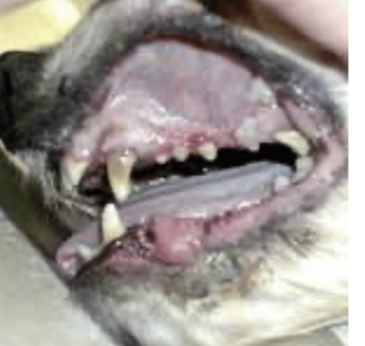 <p>what is this called?</p>