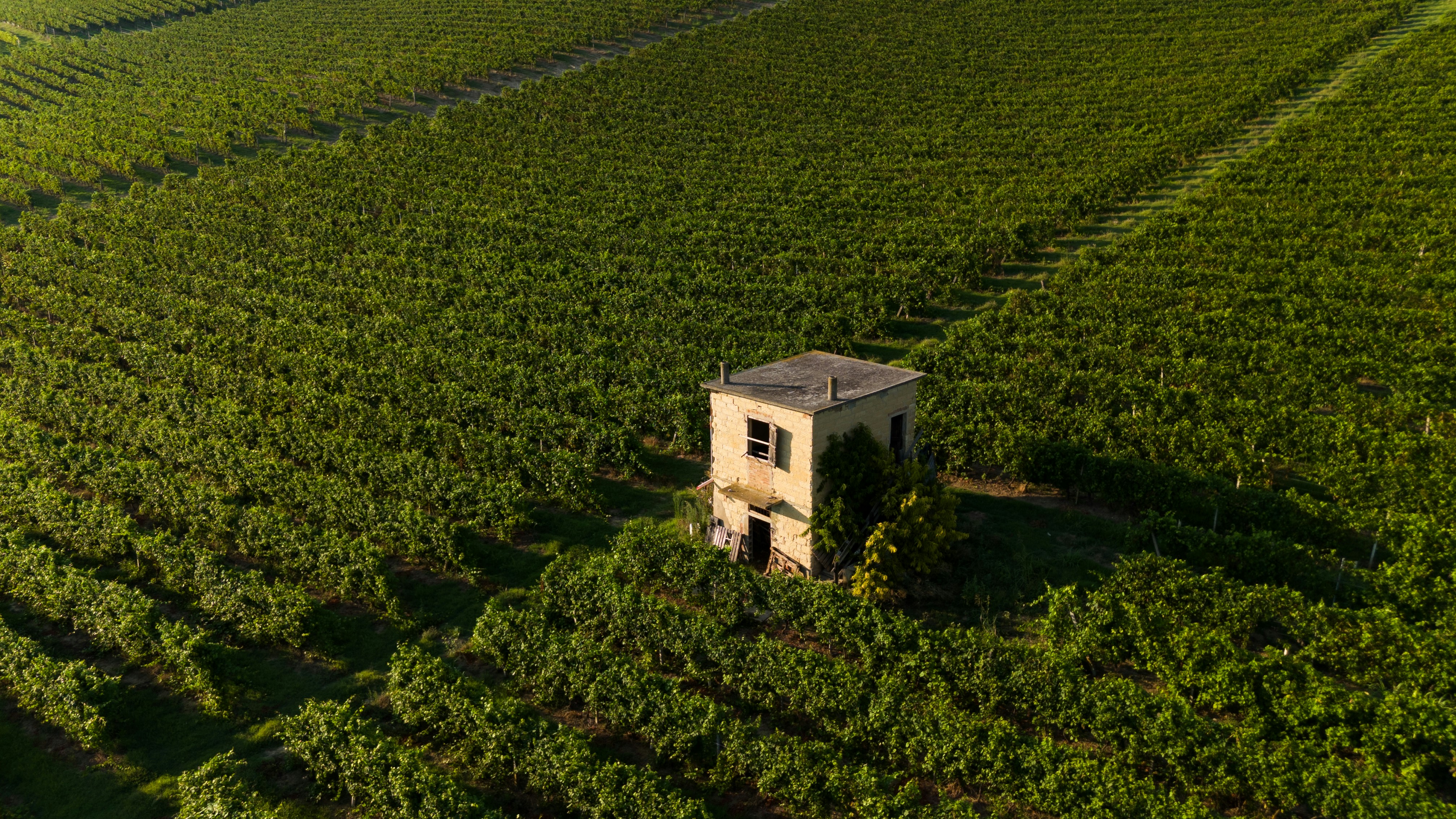 <p>по меньшей мере</p>