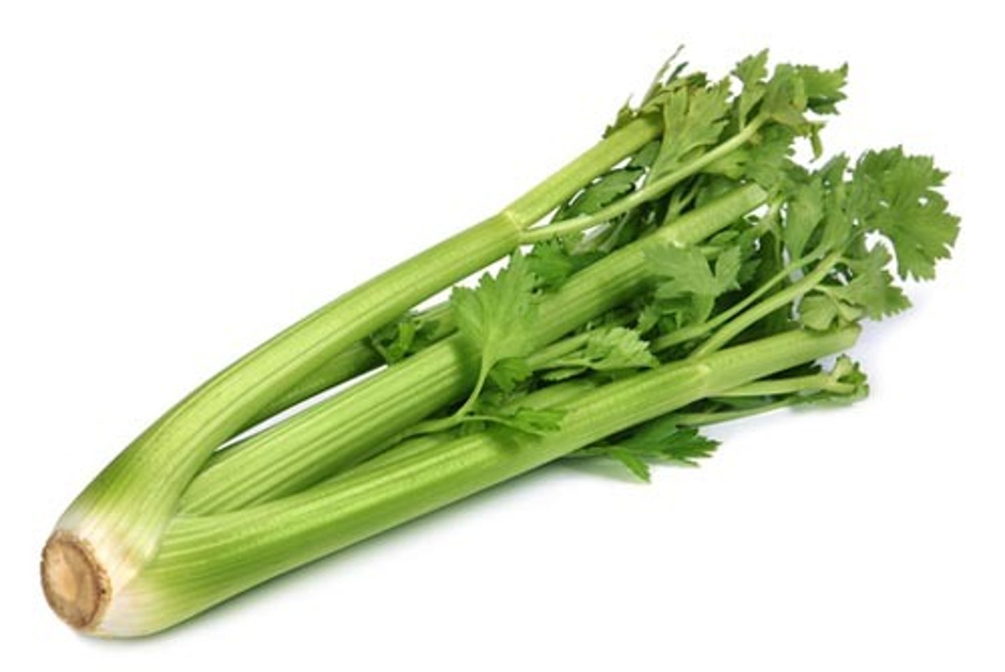 <p>celery (qín cài)</p>