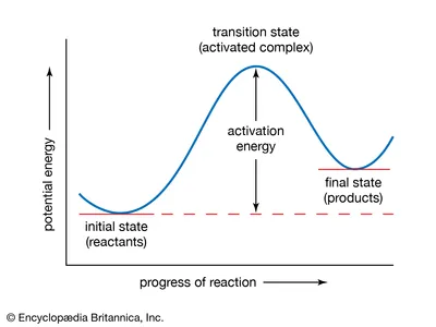 <p>a<span>) The transition state energy is a constant, activation energy is not </span></p>
