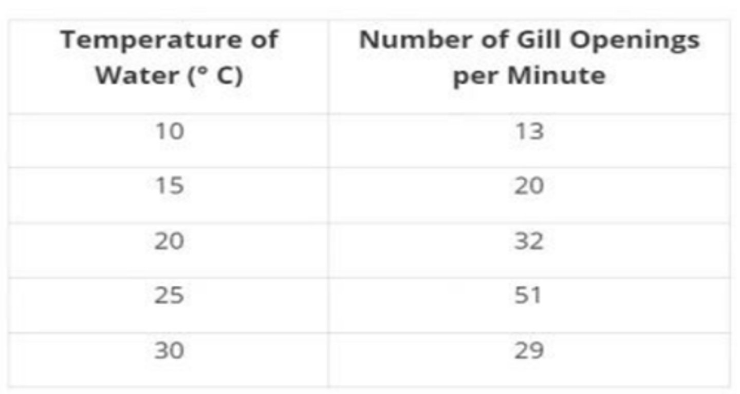 <p>As temperature increased, fish respiratory rate increased and then decreased</p>