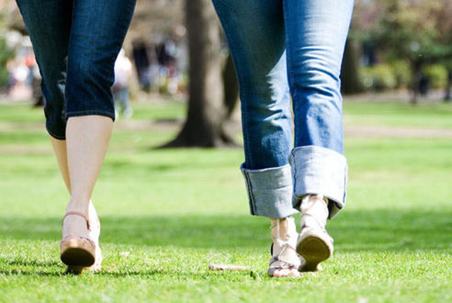 <p>by walking, on foot</p>