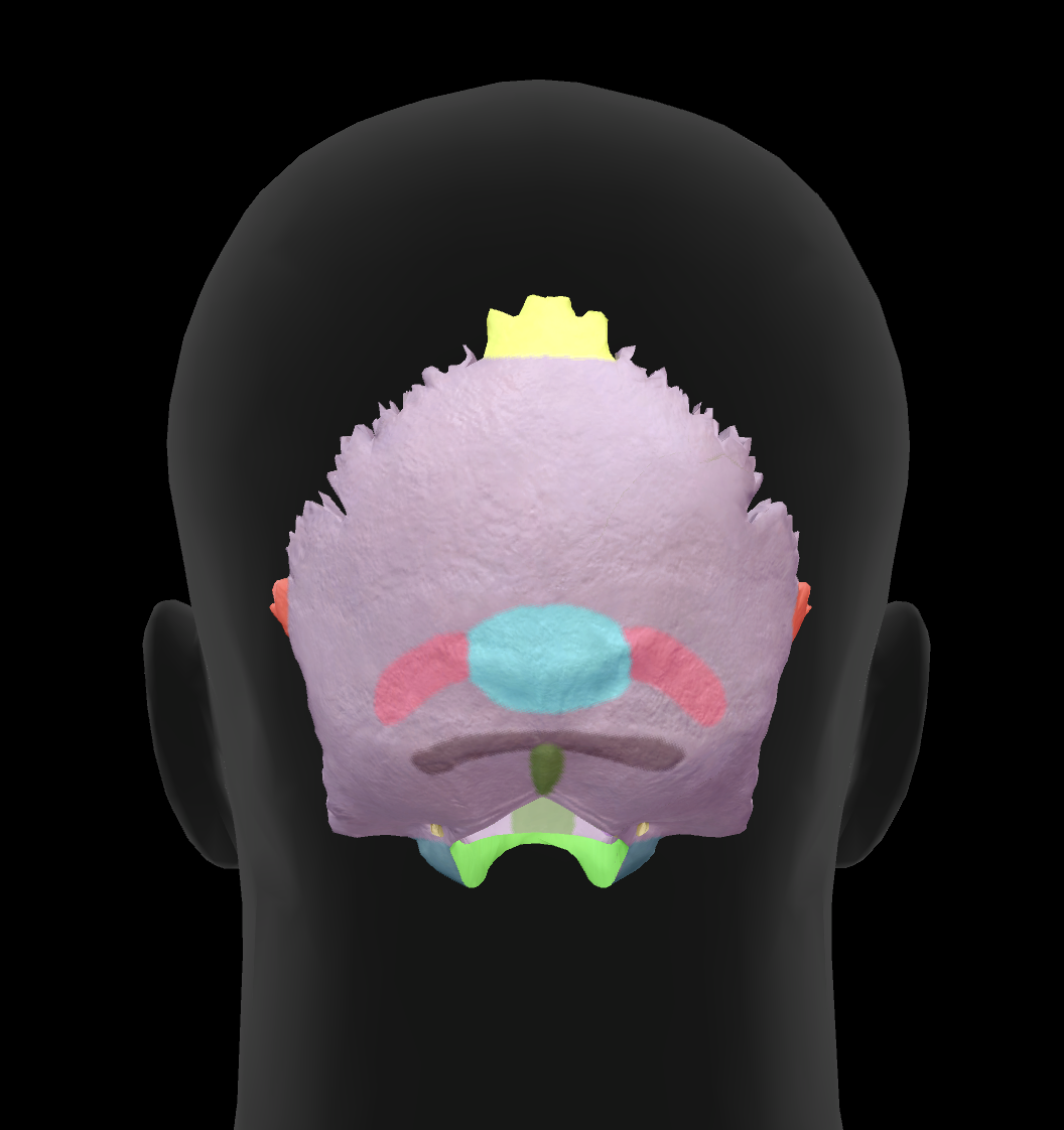<p>What is the name of this feature?</p>