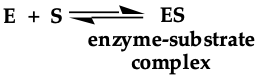 <p>In an enzyme-catalyzed reactions there are:</p>