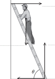 <p>A person is standing on a ladder. Use the principle of moments to explain why the system is stable in the position shown but will topple over if theta becomes too large.</p>