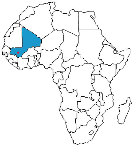 The kingdom in West Africa that followed the Kingdom of Ghana; its wealth is also based on trans-Saharan trade; this kingdom encouraged the spread of Islam.