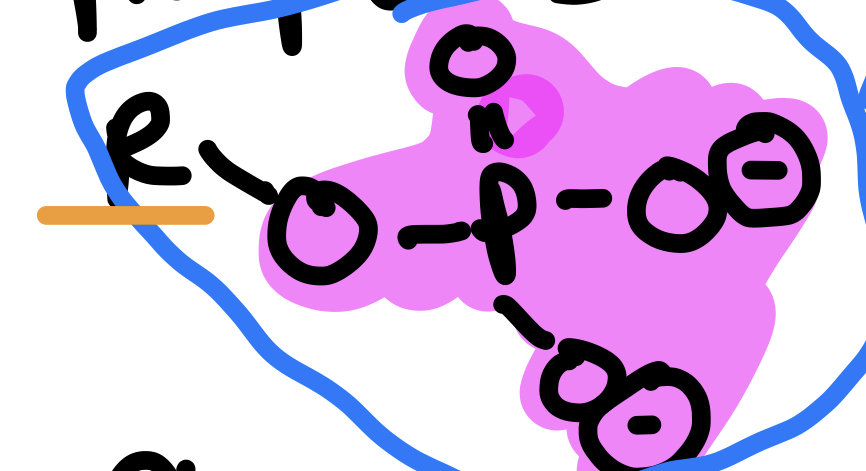 <p>Type of Compound + Functional Group</p>