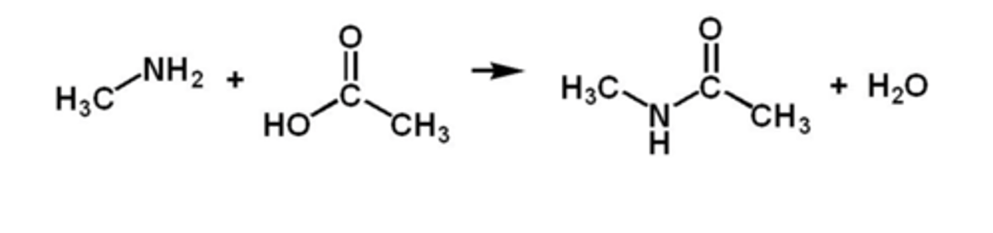 <p>amides</p>