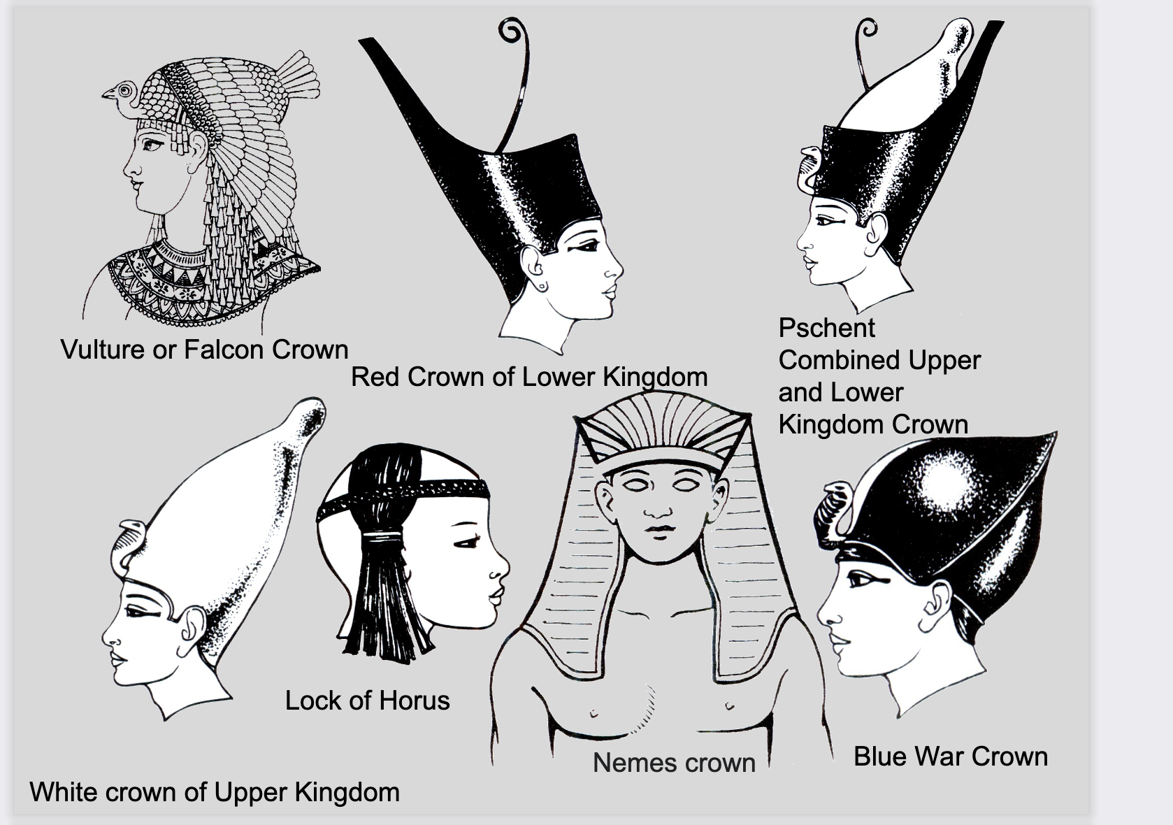 <p>Egyptians wore a variety </p>