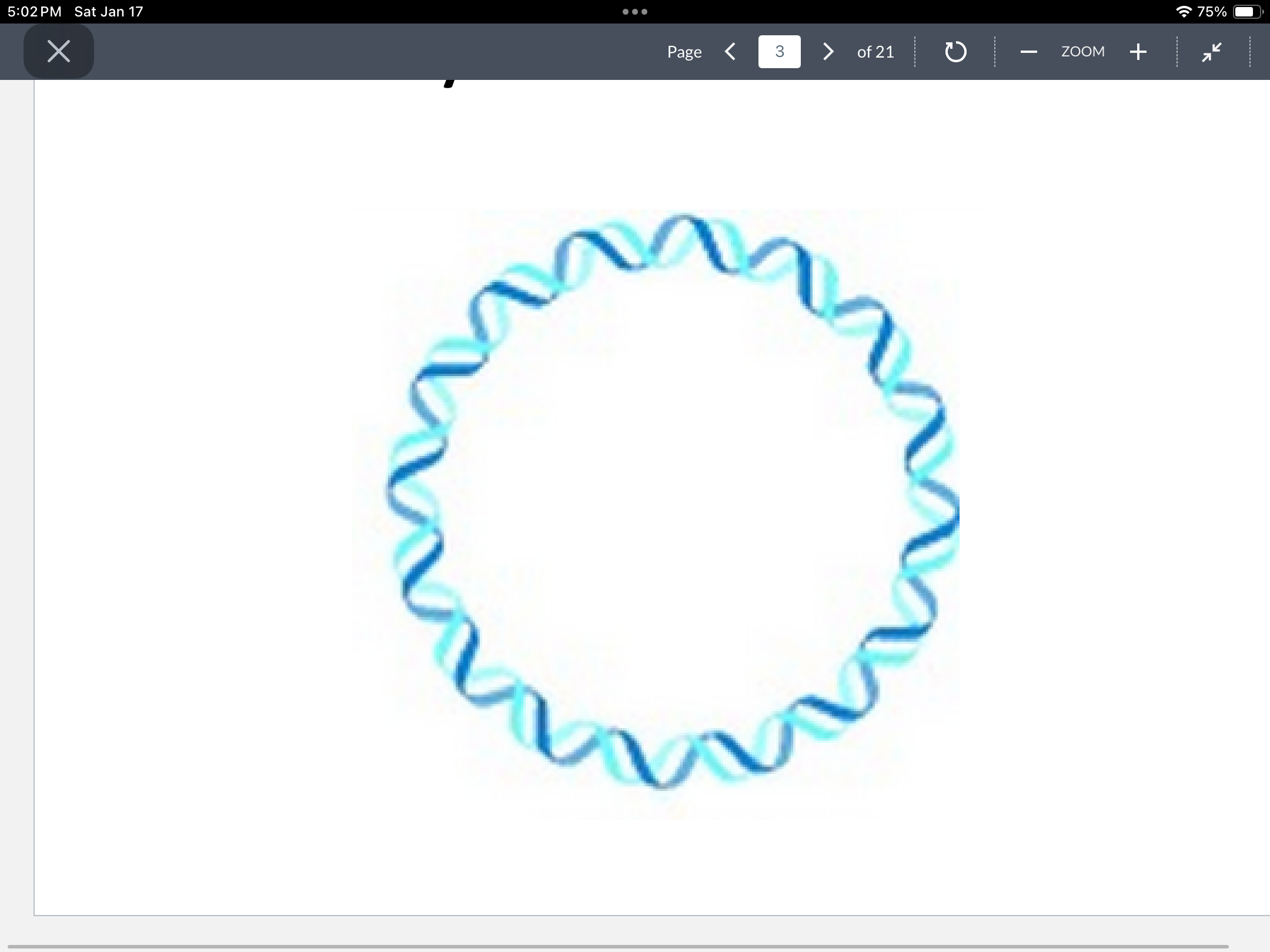 <p>A single DNA macromolecule, a closed circle </p>