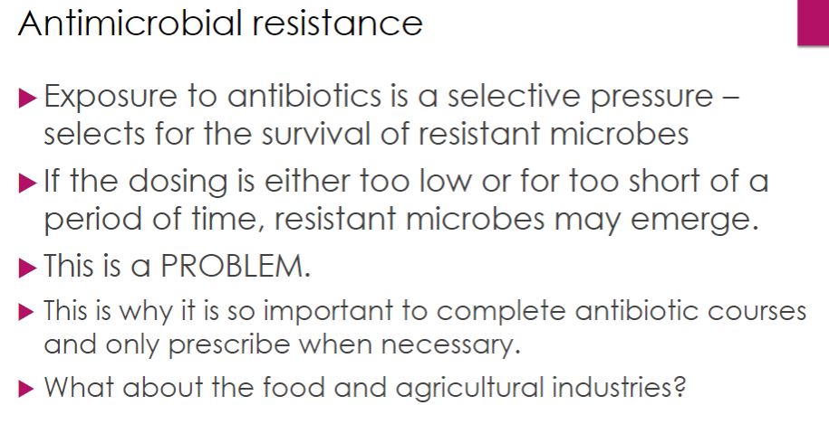 <p>antimicrobial resistance</p>